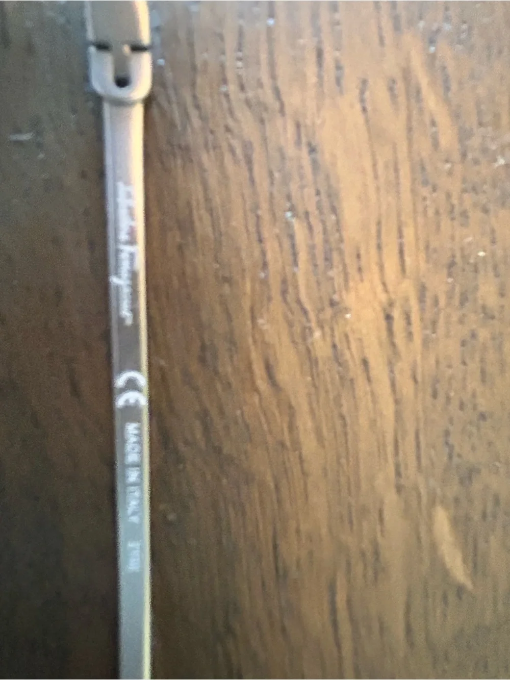 Salvatore Ferragamo sunglasses